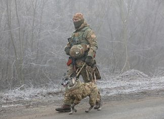 В ЕС встревожились из-за ситуации в Донбассе