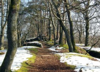 В Украине ожидаются температурные качели: синоптики дали прогноз на выходные