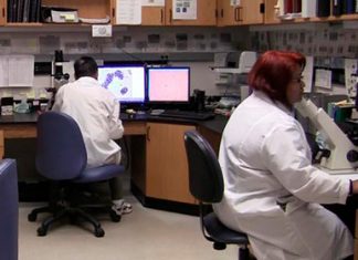 США оказались на грани катастрофы из-за утечки радиоактивной воды