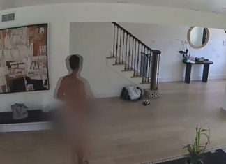 Голый мужчина ворвался в чужой дом и затоптал попугаев