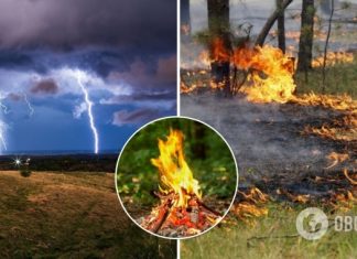 В ряде областей Украины объявили высокую пожарную опасность. Прогноз погоды и карта