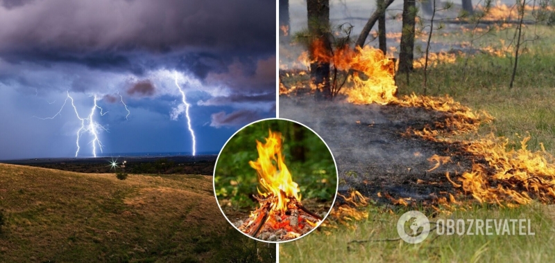 В ряде областей Украины объявили высокую пожарную опасность. Прогноз погоды и карта