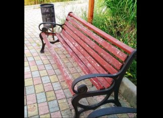 «У меня слов нет…» — жители Донецка показали новые фото «Донбасс Арены» и парка, который разрушается