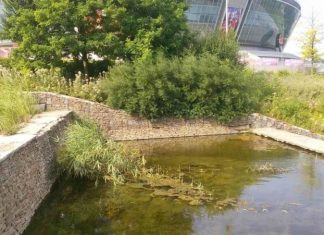 «Донбасс Арена» в Донецке-2021: местные жители показали, что происходит с прудом у стадиона