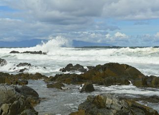 Посольство России заинтересовалось приплывшим в Японию за убежищем россиянином