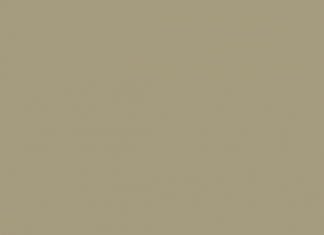 Российский национальный оркестр проведет I Летний фестиваль в «Царицыно»