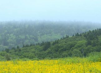 В двух регионах расширят границы ТОР