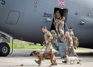 Британия вывезла служебных собак из Афганистана