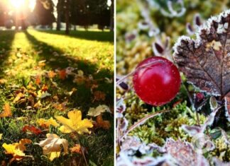 Погоду в Украине будет определять антициклон: синоптик дала детальный прогноз на понедельник