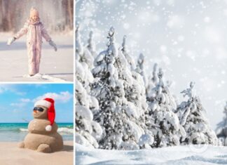 В Украине не будет зим? Ученая оценила прогноз Кульбиды