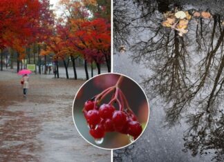 В Украину придет похолодание, дожди и грозы накроют все регионы: прогноз погоды на выходные. Карта