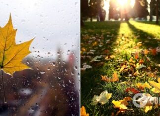 Местами пройдут дожди: прогноз погоды в Украине на субботу