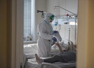 Обнаружен вероятный путь передачи коронавируса человеку