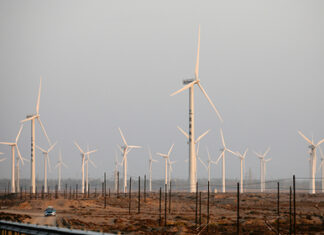 Послы ФРГ и Франции рассказали о перспективах зеленой экономики в России