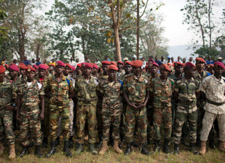 Раскрыто число работающих в Африке российских военных