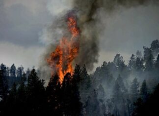 Российскую шаманку задержали в США за сожженную деревню