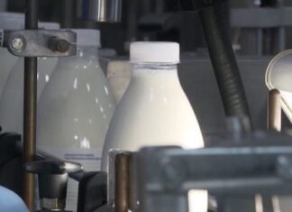 В России резко падает производство молока