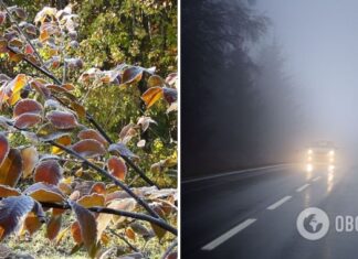 Ночью ударят морозы, а утром накроет туман: синоптики рассказали о погоде в среду. Карта