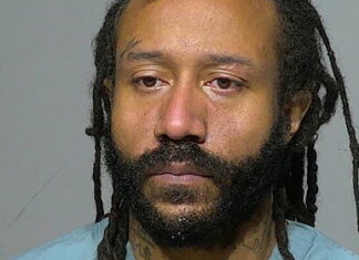 Подозреваемому в наезде на людей в США пригрозили пятью пожизненными сроками