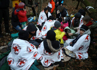 В МИД России отреагировали на обвинения по поводу миграционного кризиса в Польше