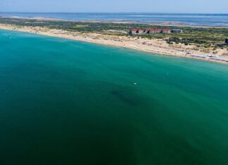 В Минобороны заявили о четырех полетах НАТО над Черным морем