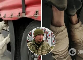 В Украину на запасном колесе грузовика въехал 18-летний афганец: его нашел пограничный пес. Видео
