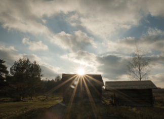 В Учме появилась экспозиция под открытым небом