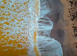 В Крыму внезапно пожелтело Черное море — оккупанты придумали причину