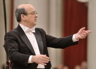 25 января в Филармонии им. Шостаковича пройдет концерт «Желтые звезды»