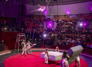 Цирковые артисты из России получили главную награду на фестивале в Венгрии