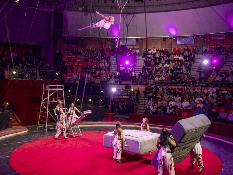 Цирковые артисты из России получили главную награду на фестивале в Венгрии
