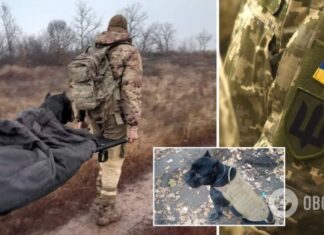 Пришел на трех лапах: как служебный пес ВСУ вырвался из плена »Л/ДНР». Фото