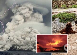 »Жуткая тишина»: женщина погибла через несколько часов после тревожного сообщения в сети