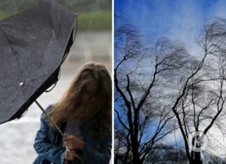 Будет бушевать сильный ветер, пойдет дождь: синоптики предупредили об опасной погоде в Украине. Карта