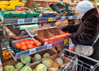 Минсельхоз: урожай овощей из борщевого набора вырастет в 2022 году на 10%