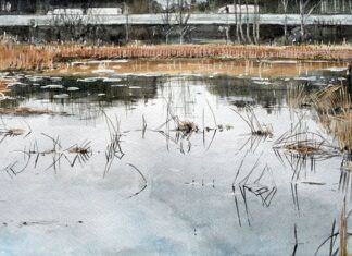 Московский музей современного искусства представляет программу «Северный травелог»