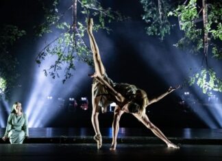 В апреле в Санкт-Петербурге пройдет Международный фестиваль балета Dance Open