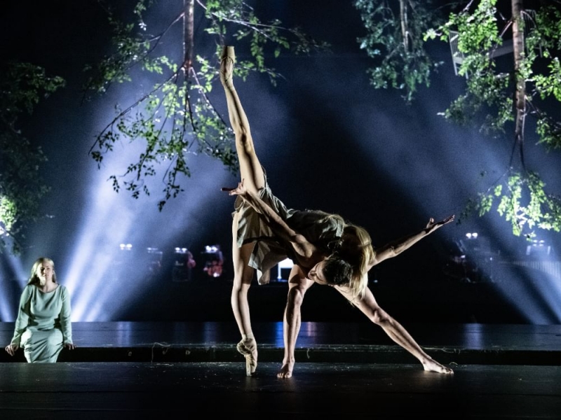 В апреле в Санкт-Петербурге пройдет Международный фестиваль балета Dance Open