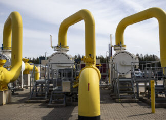 Половина покупателей газа в ЕС открыла счета в рублях