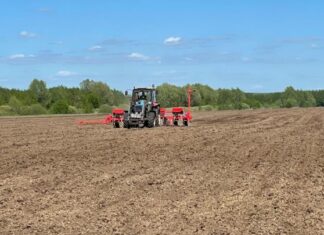 В Нижегородской области яровой сев увеличился на 5%