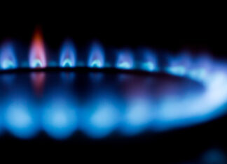 Не только газ, но и дрова: жители Нидерландов готовятся к зиме