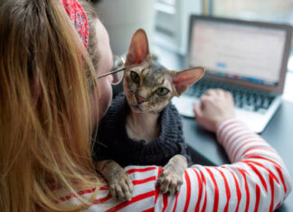 Кого можно нанимать на место мобилизованного сотрудника