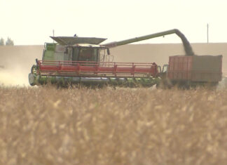 Поддержка экономики: аграрии и промышленность получат беспрецедентную помощь