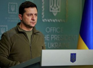 Зеленский ответил на предложения остановиться на линии 23 февраля