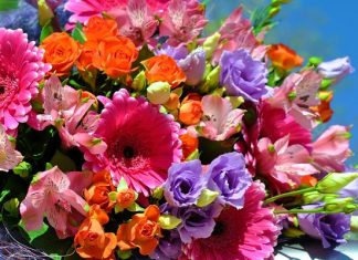 Ярко отмечаем выписку из роддома: в этом помогут профессионалы!