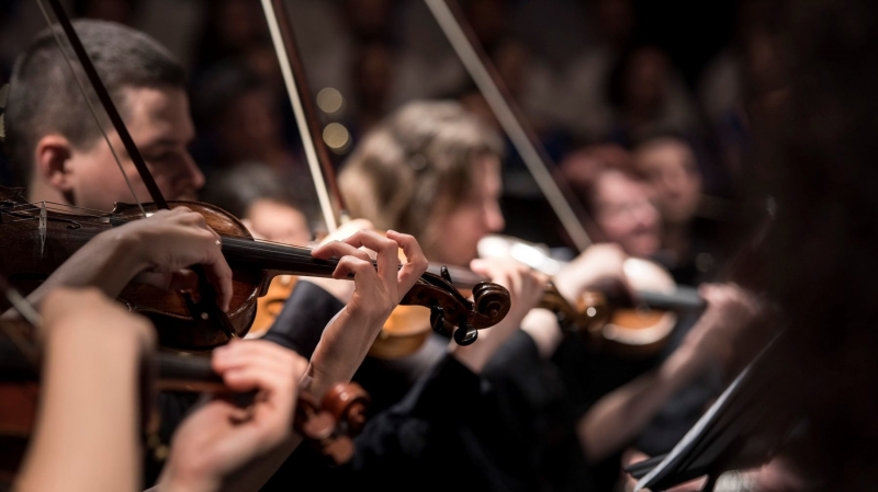 В Московской консерватории пройдет первый концерт цикла «Лица консерваторского ополчения»