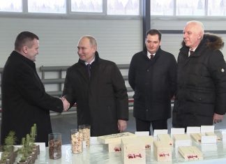 Будущее леспрома: ответственное производство и деревянные дома