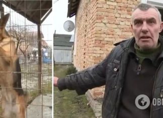 Собака спасла своего хозяина перед ракетным ударом на Львовщине: если бы я остался в доме, меня бы уже не увидели. Видео