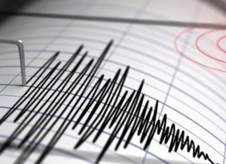 В Украине произошло землетрясение: стал известен уровень