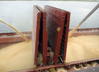 Первое судно с зерном из ДНР загрузилось в Мариупольском порту